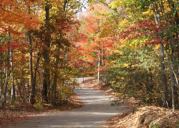 Forrest Hills Mountain Resort