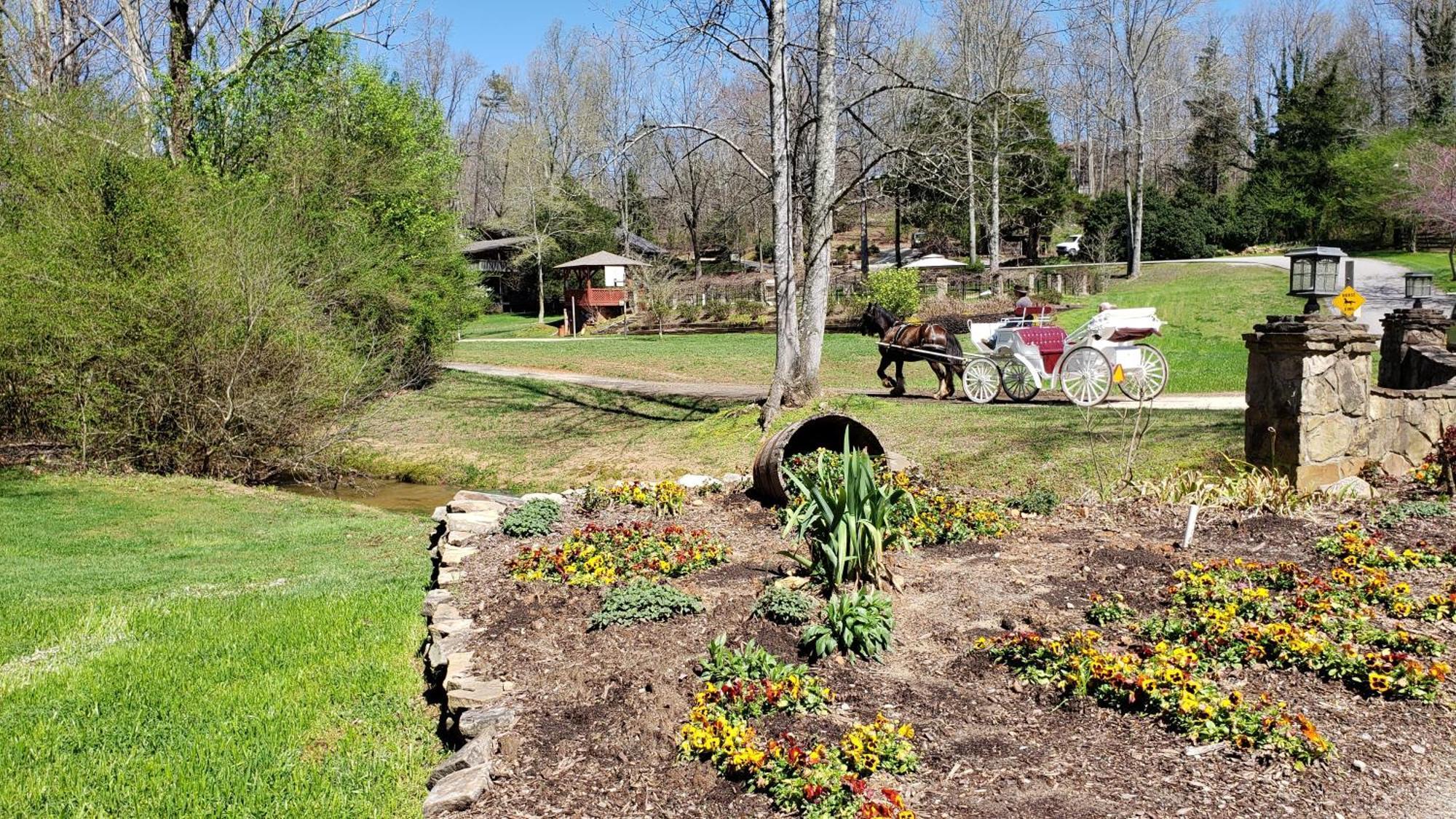 Resort Forrest Hills Mountain Dahlonega