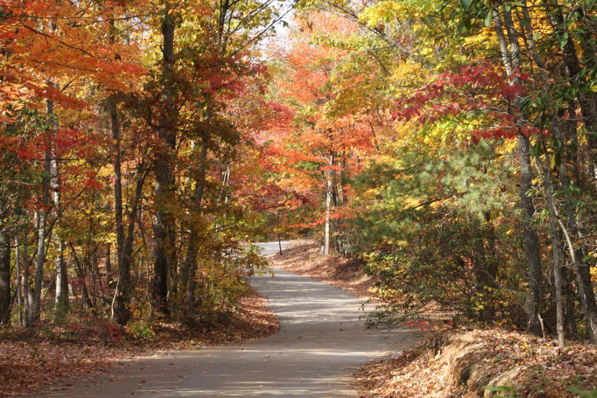 Forrest Hills Mountain Resort Dahlonega