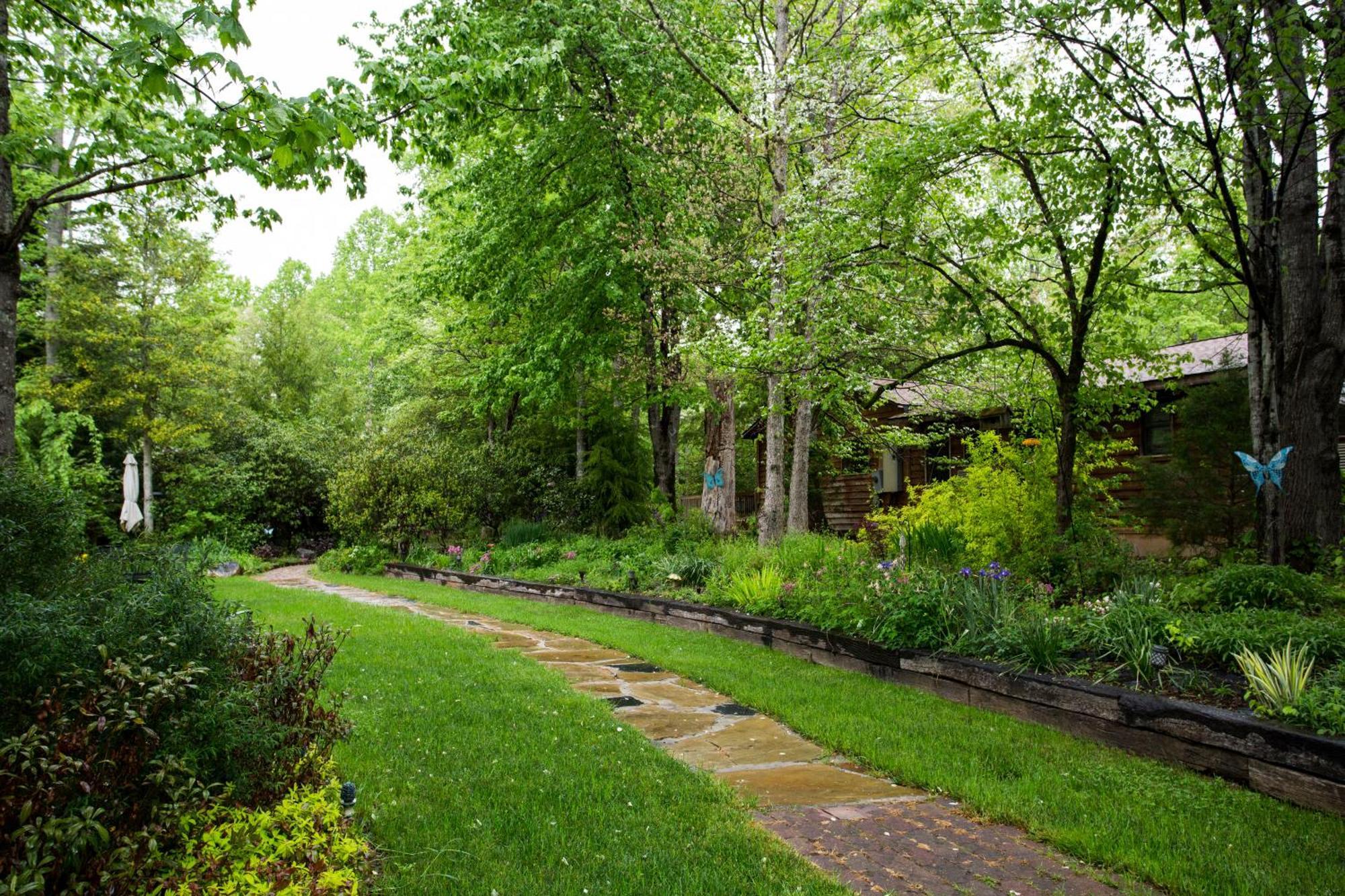 Resort Forrest Hills Mountain 3*