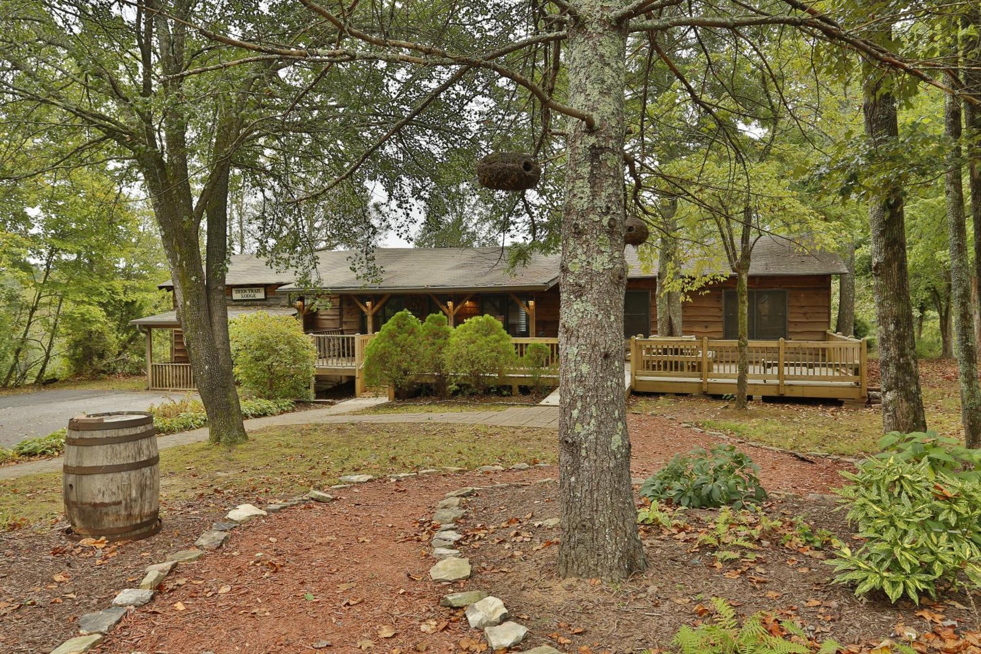 Resort Forrest Hills Mountain